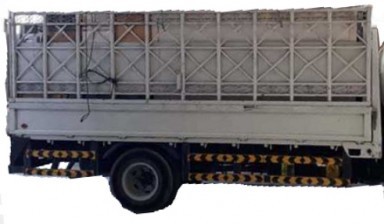 2 Tons Cargo Trucks от Rent: 1 photos