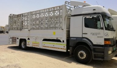 5 Tons Cargo Trucks от حذيفة حلبية: 1 photos