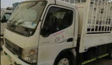 10 Tons Cargo Trucks от ASIC: 1 photos
