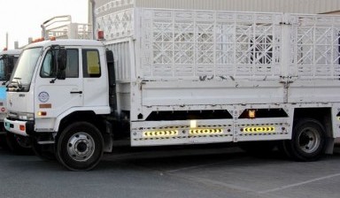10 Tons Cargo Trucks от Car: 1 photos