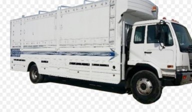 20 Tons Cargo Trucks от Ahmed: 1 photos