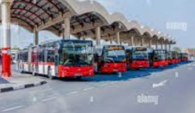 Buses with 30-60 seats от ACHOO: 1 photos