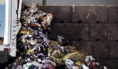 Garbage removal от Oilam: IVECO 1 photos