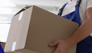 Movers от Tiana De: 1 photos