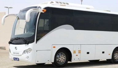 Buses with 30-60 seats от Swattransport: 1 photos