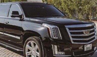 Limousine Rental от Mala: 1 photos