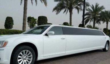 Limousine Rental от Wellcarelimo: 1 photos