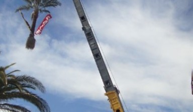 Crane trucks от Rentacraneuae: Liebherr 1 photos