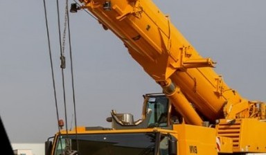 Crane trucks от Bvmtransport: Liebherr 1 photos
